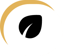 Here's an alt tag for the image: `Green leaf icon, eco-friendly symbol`